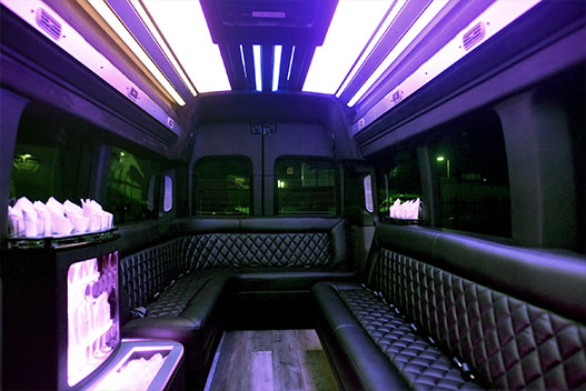 New-2024-Limo-Van 1-14 Passenger Brand New Limo Van